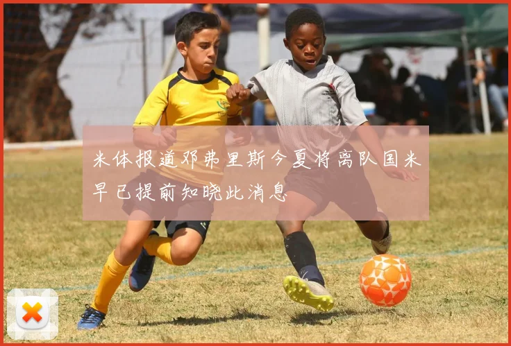 米体报道邓弗里斯今夏将离队国米早已提前知晓此消息