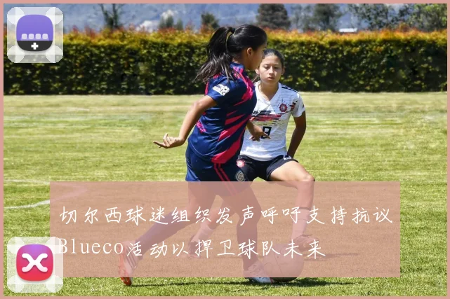 切尔西球迷组织发声呼吁支持抗议Blueco活动以捍卫球队未来